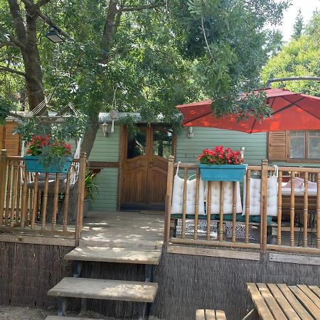 בית הארחה Le Soler 	Roulotte En Bois Sud France מראה חיצוני תמונה