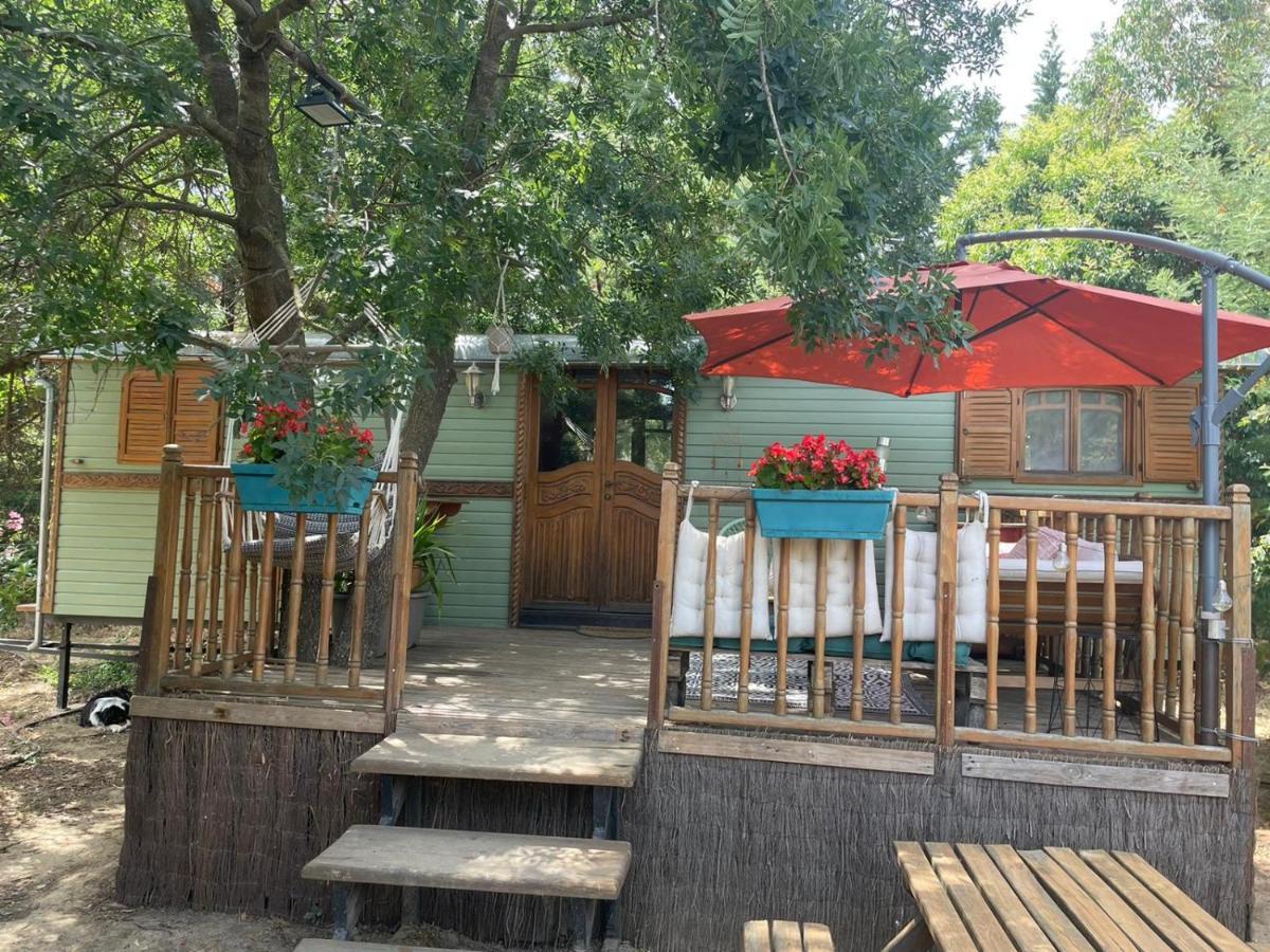בית הארחה Le Soler 	Roulotte En Bois Sud France מראה חיצוני תמונה