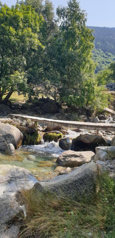 בית הארחה Le Soler 	Roulotte En Bois Sud France מראה חיצוני תמונה