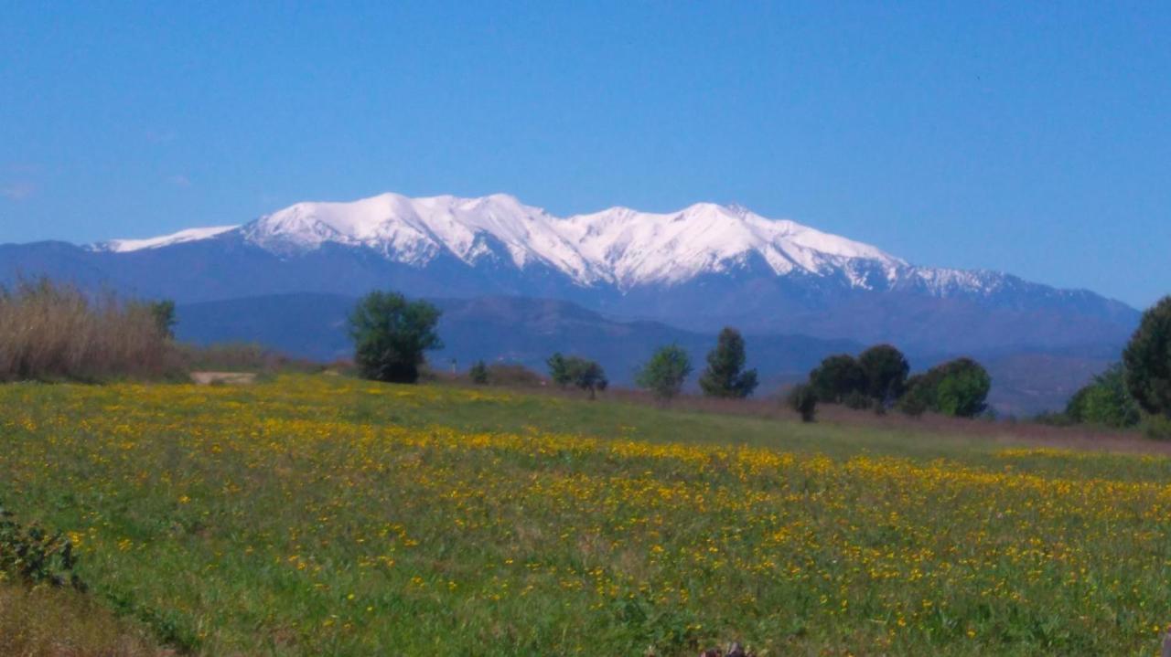 בית הארחה Le Soler 	Roulotte En Bois Sud France מראה חיצוני תמונה