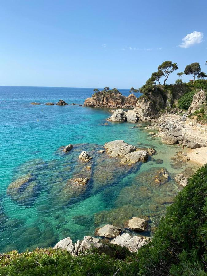 בית הארחה Le Soler 	Roulotte En Bois Sud France מראה חיצוני תמונה