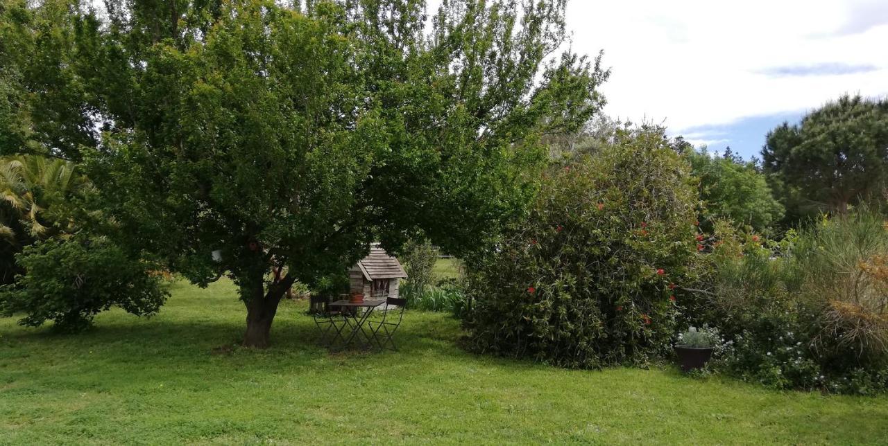 בית הארחה Le Soler 	Roulotte En Bois Sud France מראה חיצוני תמונה