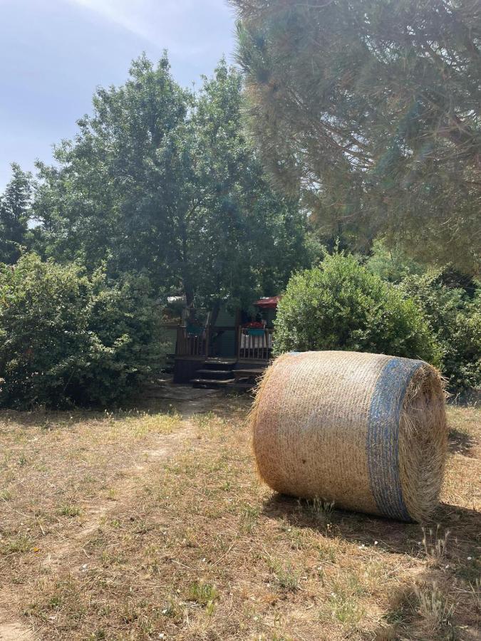 בית הארחה Le Soler 	Roulotte En Bois Sud France מראה חיצוני תמונה