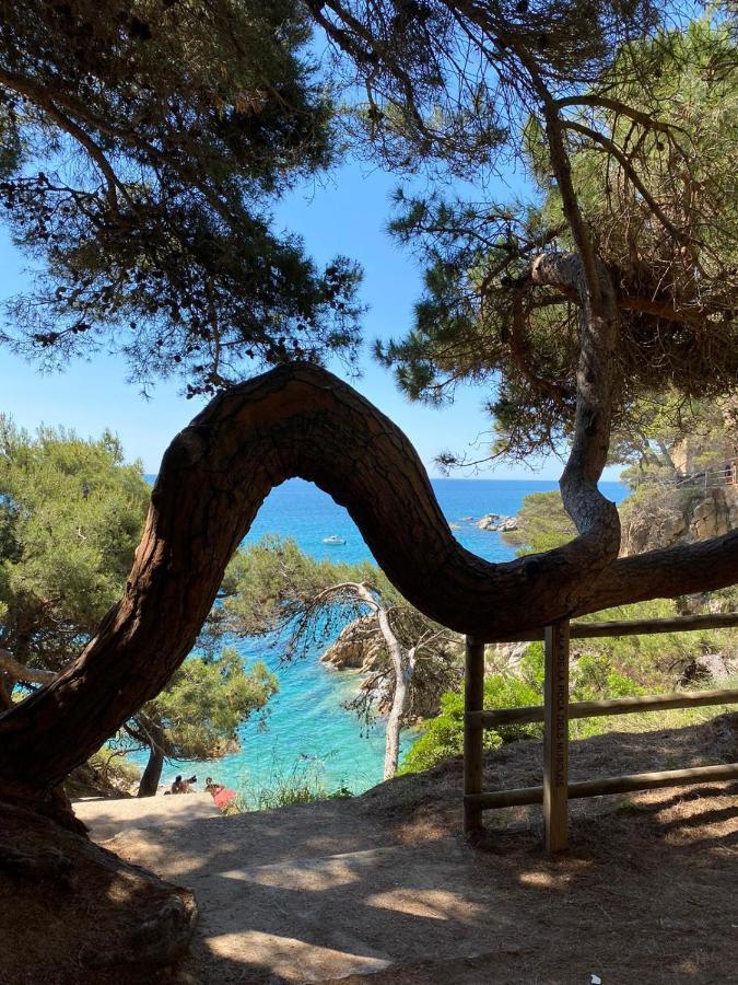 בית הארחה Le Soler 	Roulotte En Bois Sud France מראה חיצוני תמונה