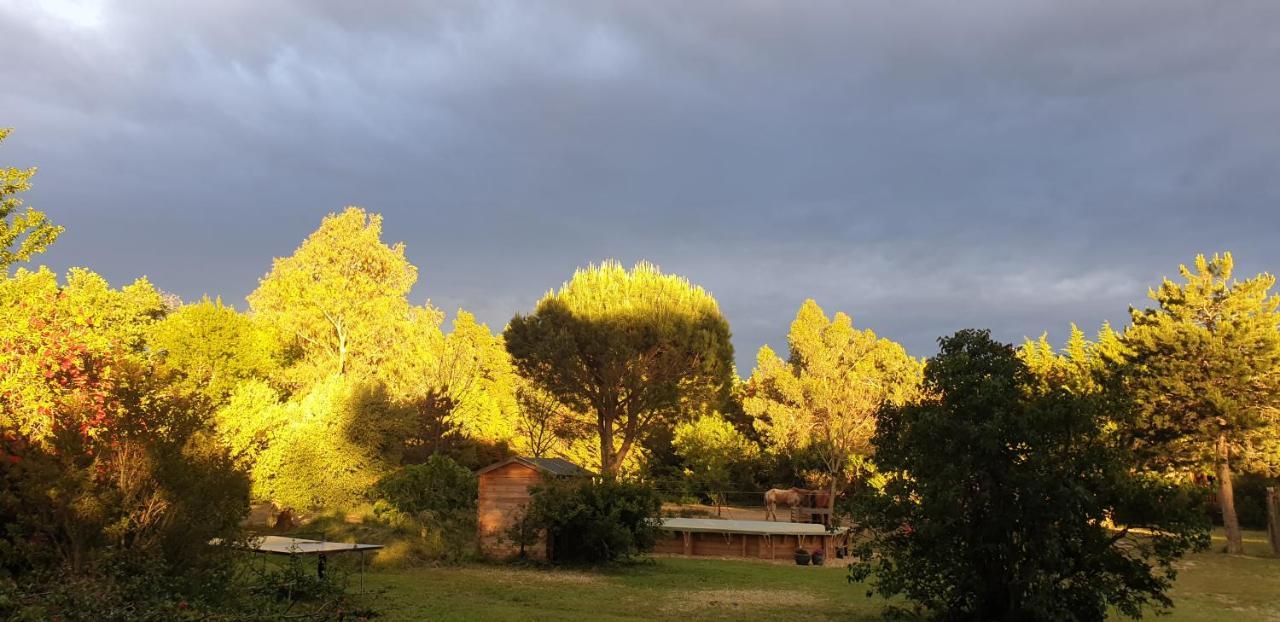 בית הארחה Le Soler 	Roulotte En Bois Sud France מראה חיצוני תמונה